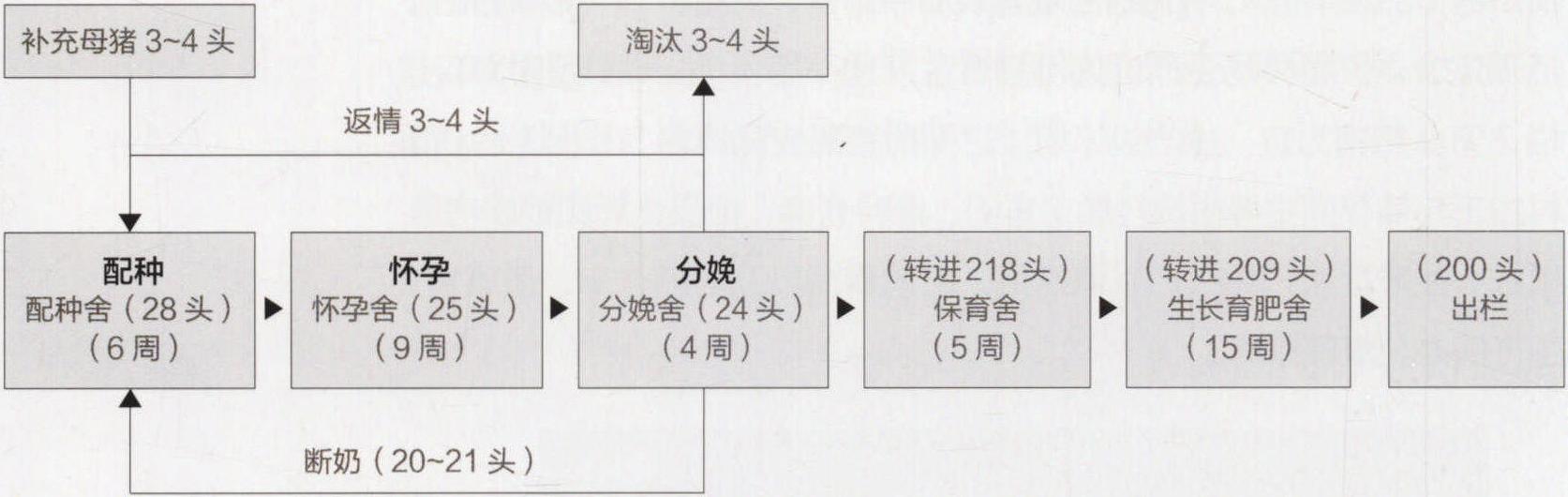 二、猪舍工艺图设计